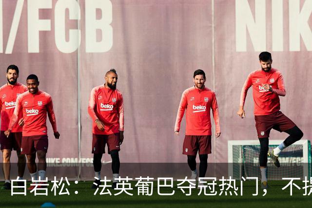 白岩松：法英葡巴夺冠热门，不提阿根廷因为是真喜欢我怕我像贝利